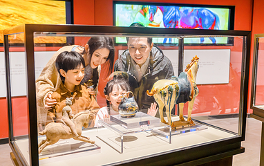 中国马镇旅游度假区第 139 张图片