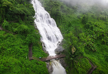 海南百花岭热带雨林文化旅游区第 43 张图片