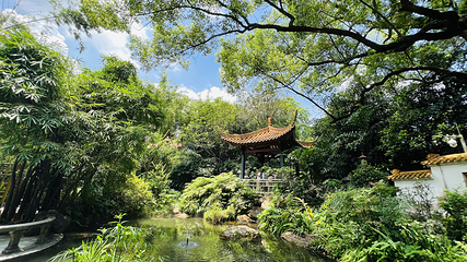 广州兰圃第 4 张图片