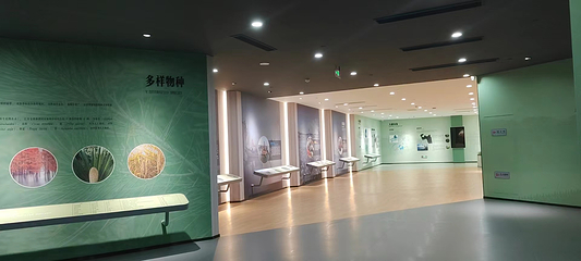 溱湖国家湿地公园第 20 张图片