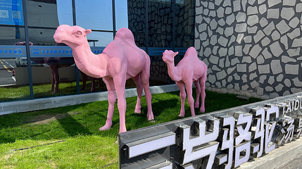 三岁骆驼汤泉馆第 5 张图片