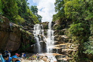 武夷山国家公园1号风景道