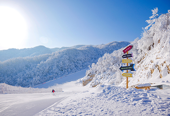 洛阳伏牛山四季旅游度假区第 3 张图片