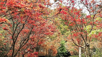 福田园休闲农场