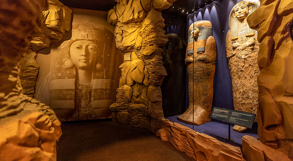 ACN 埃及文物巡回展“拉美西斯和法老的黄金”