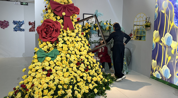 策大师|不止昆虫·蝴蝶展