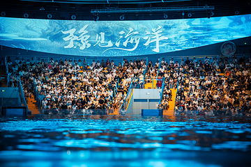郑州海昌海洋公园第 22 张图片