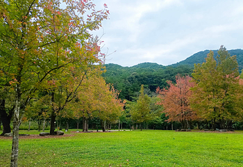 十万大山国家森林公园第 10 张图片