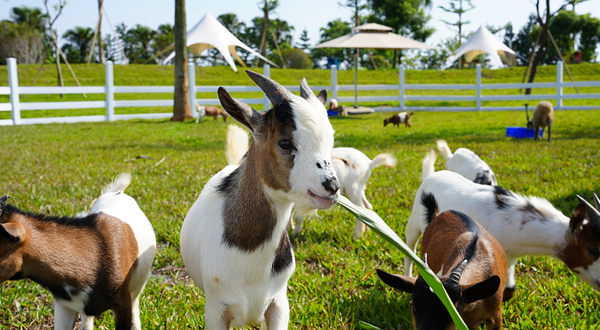 美乐地亲子农场