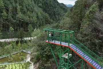 千岛Happy森林第 17 张图片