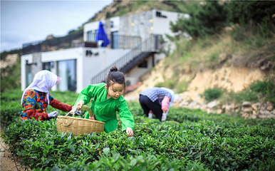 泉山云顶风景区第 49 张图片