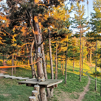 飞奔树上拓展乐园