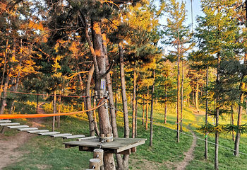 飞奔树上拓展乐园第 1 张图片