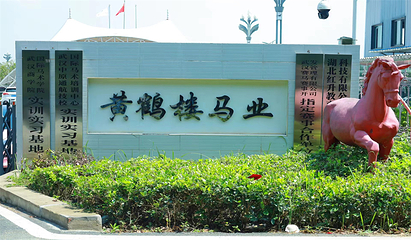 黄鹤楼马术小镇第 32 张图片