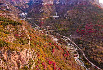 青铜山大峡谷第 113 张图片