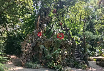 广州兰圃第 34 张图片