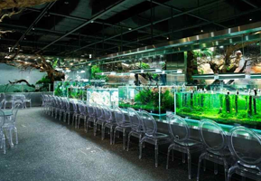 水上花园咖啡厅 (乐天世界塔店)