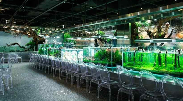 水上花园咖啡厅 (乐天世界塔店)