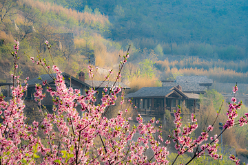 九如山休闲旅游度假区第 134 张图片