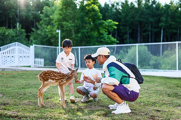 长白山华美胜地旅游度假区(原鲁能胜地)第 22 张图片
