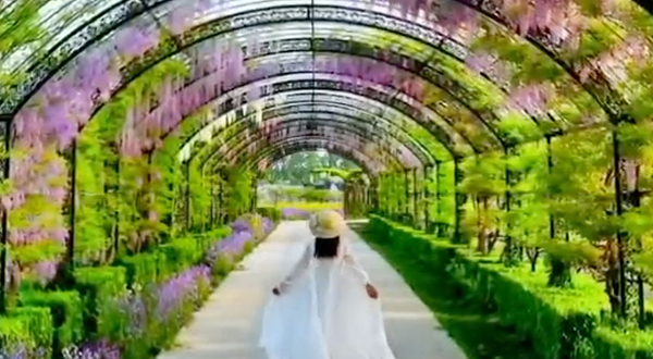 山东千亩园农场