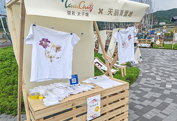 太子城国际文旅小镇第 19 张图片