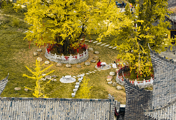 宜春明月山旅游区第 87 张图片