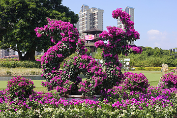千花洲生态景区第 115 张图片