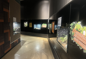蛇文化展览馆第 7 张图片