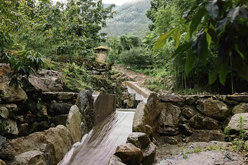 华东虎跃峡探险漂流第 12 张图片
