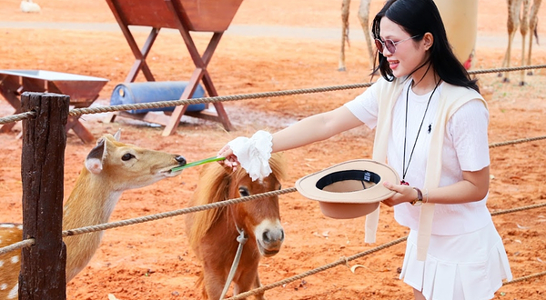 越南Safari野生动物主题咖啡馆