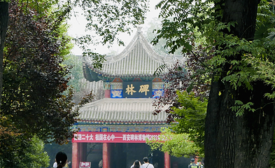 奥韦柯酋第 325 张图片