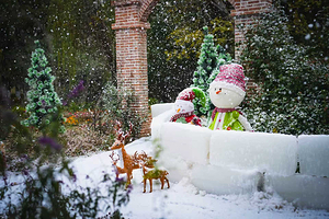 苏州中国花卉植物园