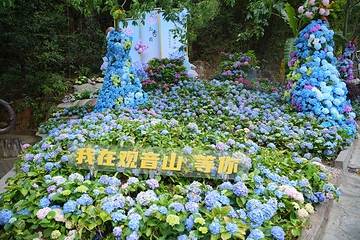 观音山旅游风景区第 209 张图片