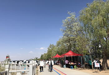黄河横城旅游休闲度假区第 9 张图片