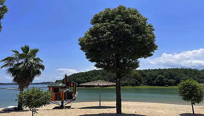 庐山西海巾口景区梦幻岛第 5 张图片