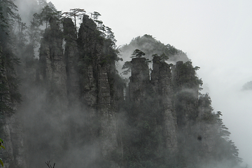 大瑶山盘王界景区第 101 张图片