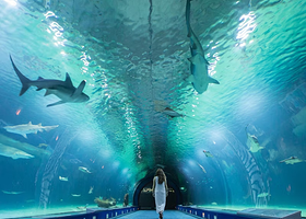 瓦伦西亚海洋公园