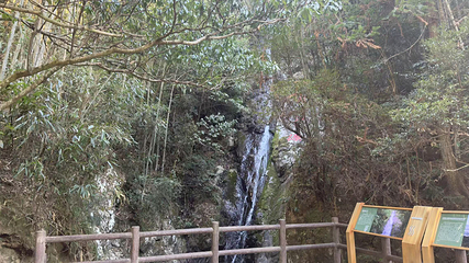 赣江源景区第 9 张图片