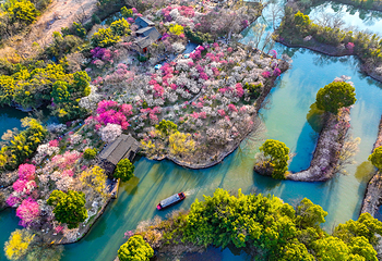 西溪国家湿地公园第 66 张图片