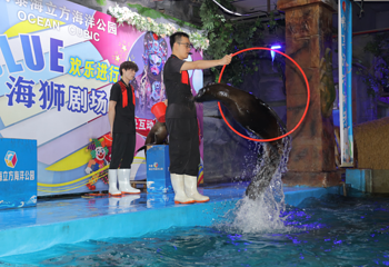 金华万泰海立方海洋公园第 34 张图片