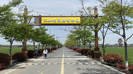 仁和杰克熊奇妙岛第 1 张图片