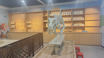 银川小哪吒赶海公园