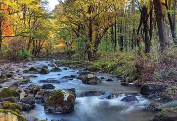 吊水壶风景区第 2 张图片