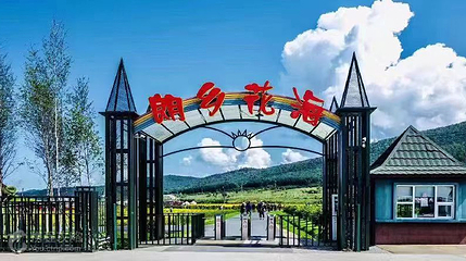 朗乡花海第 5 张图片
