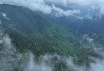 武夷山国家公园1号风景道第 20 张图片