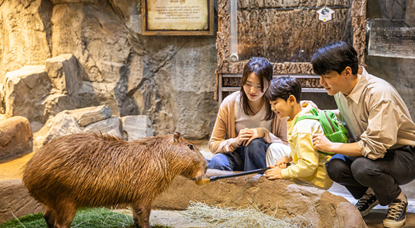 Zoolung Zoolung室内萌宠乐园(HANAM分店)