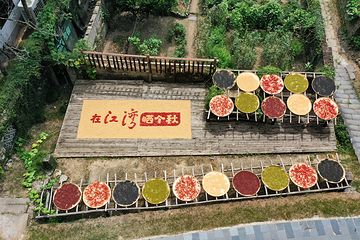 婺源风景区第 136 张图片