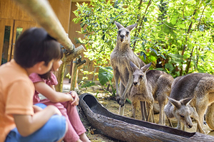万态野生动物世界