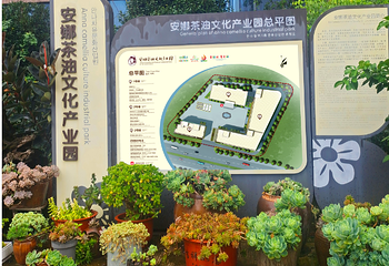 安娜茶油文化产业园第 3 张图片